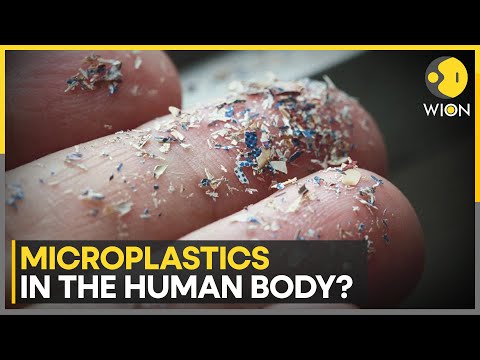 Study finds evidence of microplastics inside human body | Latest English News | WION