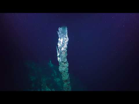 Pescadero Vent Diving - 4K ROV Highlights - FK181031