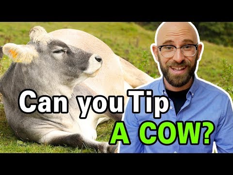 Is It Actually Possible to Tip a Cow?