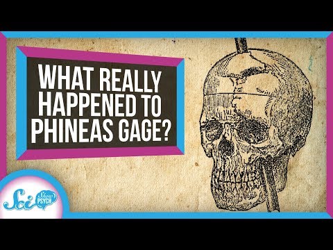 What Really Happened to Phineas Gage?