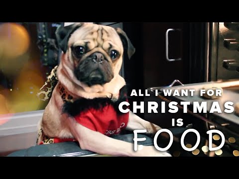 All I Want For Christmas Is Food - Doug The Pug