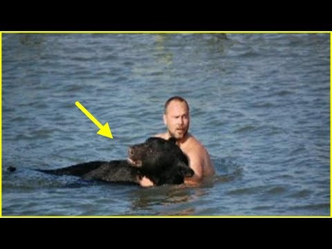 This Bear Was Drowning In The Ocean. You Won’t Believe What This Guy Did About It.