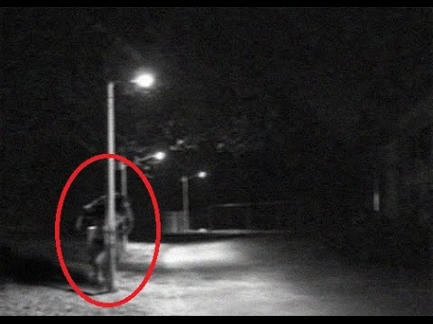 Ten Disturbing Dogman Sightings of the American Midwest - 78