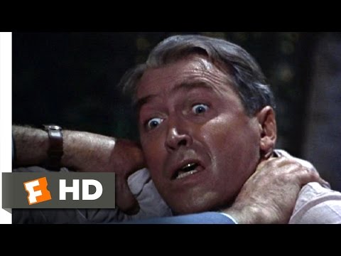 Rear Window (9/10) Movie CLIP - Out the Window (1954) HD