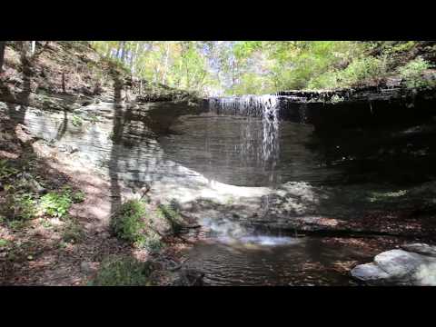 Discover the Natchez Trace