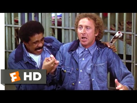 Stir Crazy (1980) - We&#039;re in Prison Scene (3/10) | Movieclips