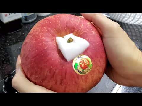 Japanese Aomori Sekai Ichi Apple 青森世界一りんご | Juicy Good Texture Super Big