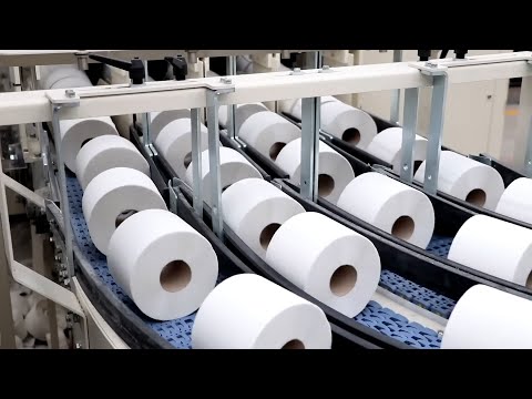 How TOILET PAPER ROLLS are Made 🧻 | THIS IS HOW 83 MILLION TOILET PAPER ROLLS ARE PRODUCED