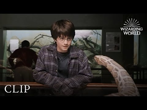 Harry and the Snake | Harry Potter and the Philosopher&#039;s Stone