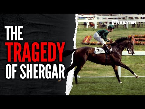 Shergar: 40 years on | Flashpoint