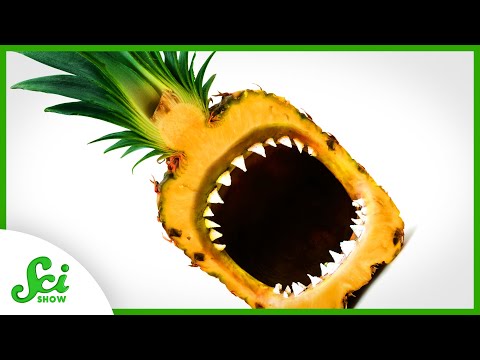 How Do Pineapples Eat Us Back?