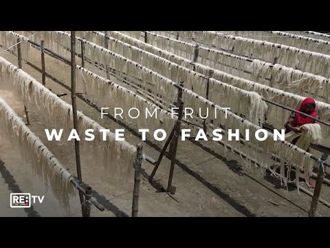 Reusing Pineapple Leaves To Create Sustainable Clothing