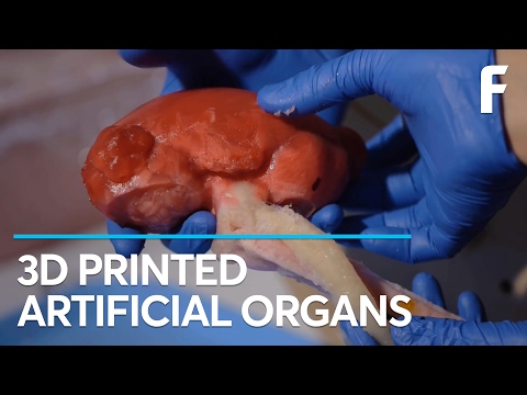 Scientists Can Now 3D Print Functional Organs