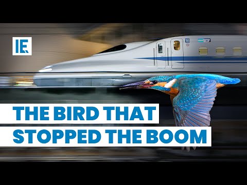 How Kingfisher Inspired Bullet Trains