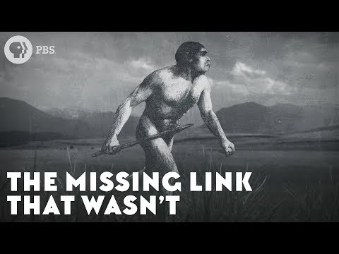 The Missing Link That Wasn’t