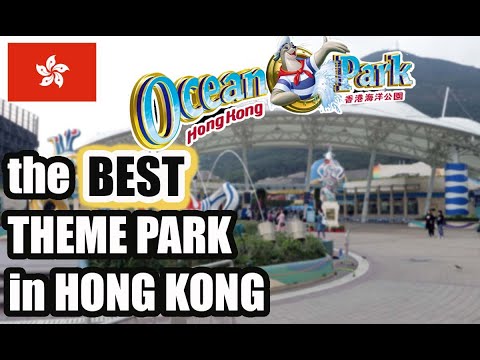 BEST theme park in HONG KONG | OCEAN PARK VLOG 2019