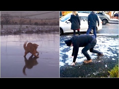 When Ice Strikes Back - Funny Slippery Ice Fails.