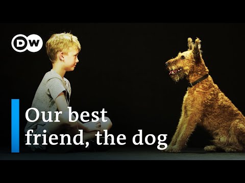Dogs &amp; us - The secrets of an unbreakable friendship | DW Documentary