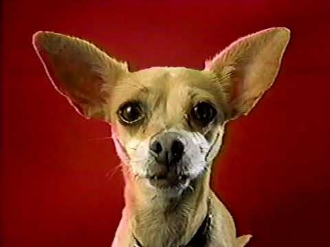 Taco Bell Chihuahua Commercials