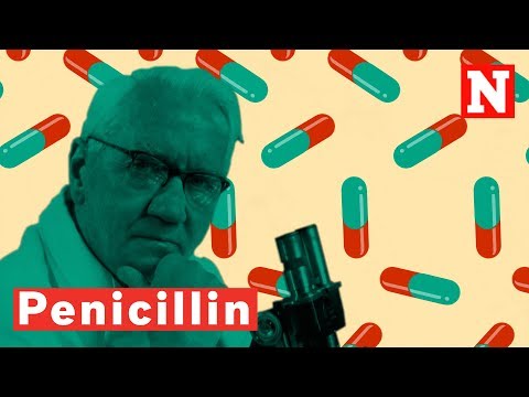 How Penicillin Changed The World
