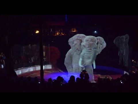 Optoma impresses audiences with a holographic circus experience