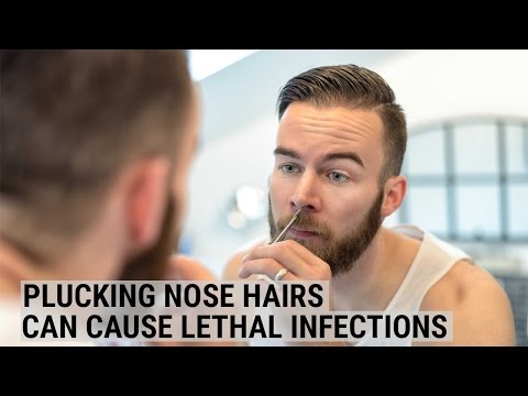 Plucking nose hairs can cause lethal infections