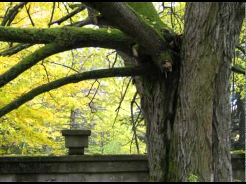 Brestovac - Haunted Sanatorium above Zagreb