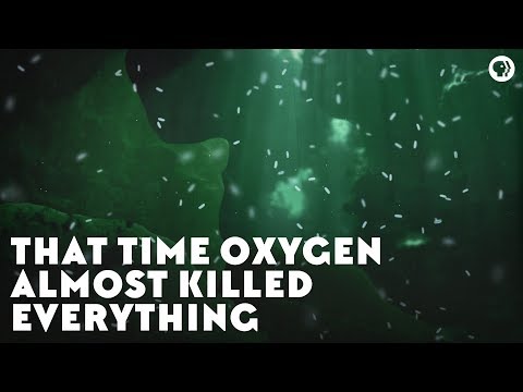 That Time Oxygen Almost Killed Everything