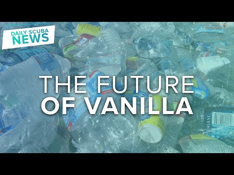 Future of Vanilla, is Plastic | Daily Scuba News 4K