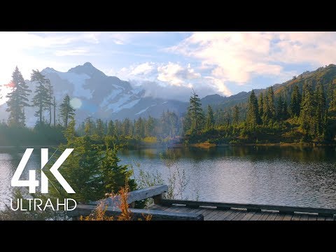 8 Hours of Birds Singing on the Lakeshore and Water Sounds - Relaxing Nature Sounds - Mount Shuksan