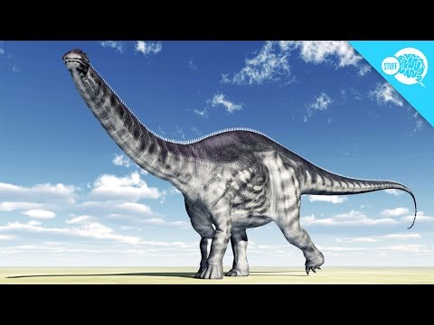 Did The Brontosaurus Exist?