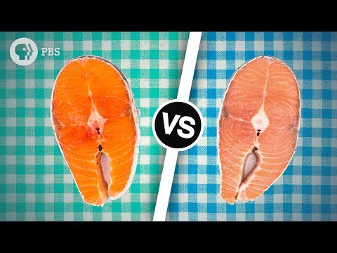 Wild Salmon or Farmed Salmon? Which is Better? | Serving Up Science