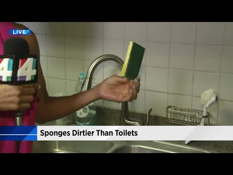 Sponges dirtier than toilets