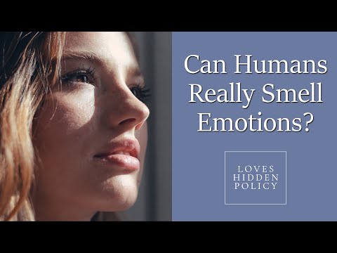 Can Humans Really Smell Emotions – 561.437.2286