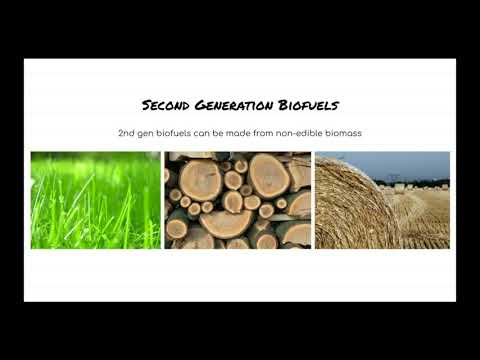 Fungal Biofuels