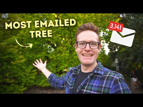 The 72,000 Trees You Can Email (And How They Respond)