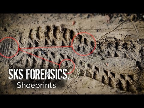 How true detectives uncover hidden shoe prints gain evidence | SKS Forensics: Shoeprints