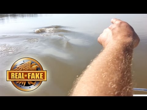 Missouri RIVER MONSTER - real or fake?