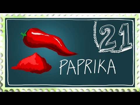 How to grow Paprika - Suburban Homestead EP21
