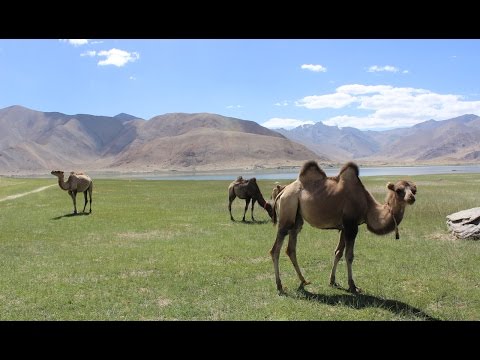 Karakoram Highway: The Border of China and Pakistan