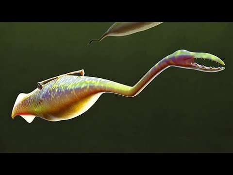 What Was The Tully Monster?