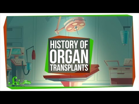 The Messy Path to the First Successful Organ Transplants