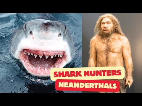 Amazing Discovery Suggests Neanderthals Hunted Sharks and Eels | Cave Site Study Documented
