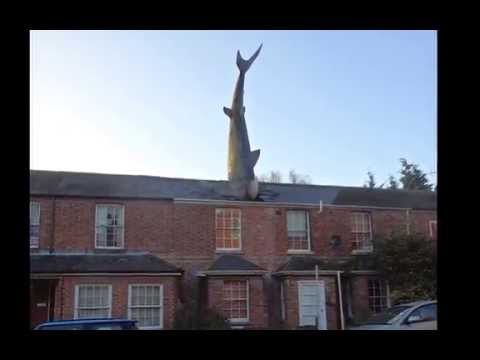 Headington Shark - Oxford