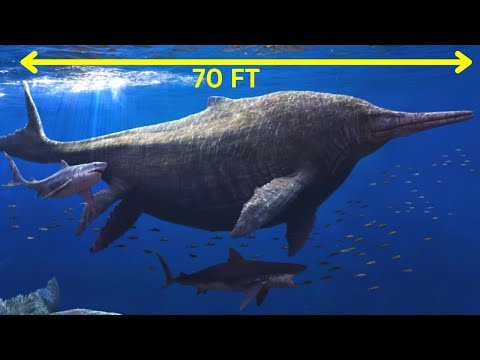 The Biggest Marine Reptile To Ever Live