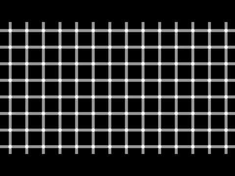 Hermann Grid Illusion