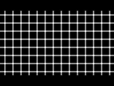 Hermann Grid Illusion