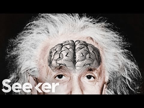 Einstein’s Brain Was Stolen and Chopped Up Into Tiny Pieces...For Science?!