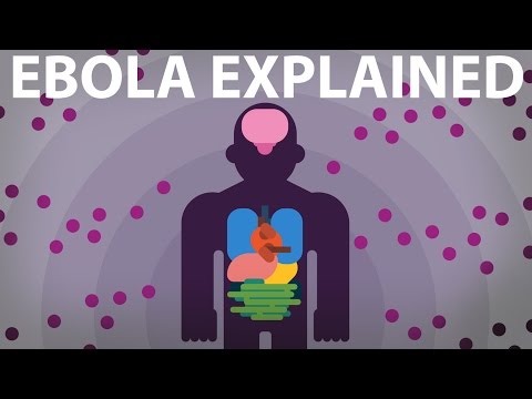 10 Recent Near Pandemics Deadlier Than Covid - 88