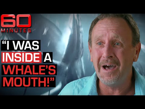Swallowed by a whale? This man&#039;s incredible tale of survival | 60 Minutes Australia